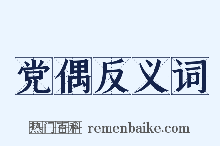 党偶反义词是什么意思的图片